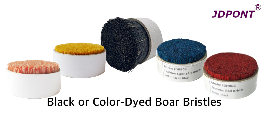 Boar Bristle: What It Is and How It’s Used