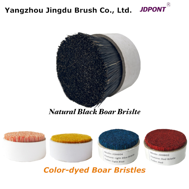 Boar Bristle: What It Is and How It’s Used(图1)