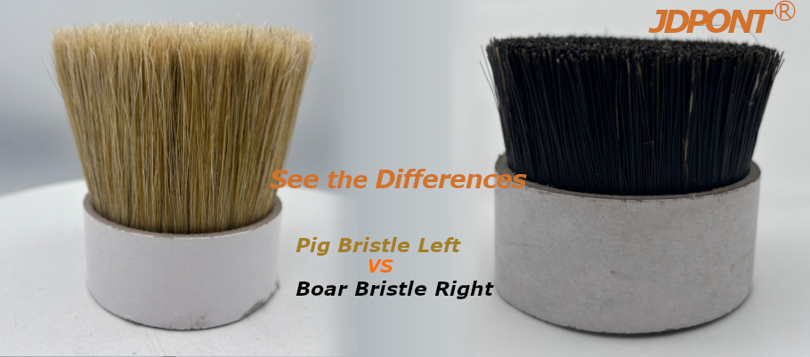 Boar Bristle vs. Pig Bristle: Which is Best for Premium Brushes?